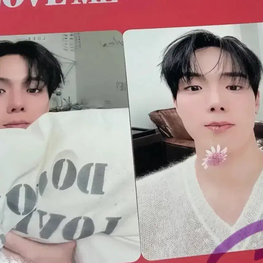 [BUNJANG] MONSTA X Shownu Lucky Draw Photocard Bundle Set / 셔누 러브미 특전 2장 일괄가격