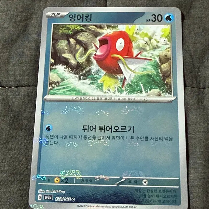 [BUNJANG] Pokemon Card 151 Magikarp, Gyarados Master Ball Set / 포켓몬카드 151 잉어킹, 갸라도스 마스터볼 세트