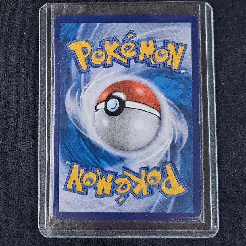 [BUNJANG] Tyranitar V &amp; Galarian Kingler V Special Illustration Full Set Bundle / 마기라스V,가라르 나이킹V 특일 일괄 급처합니다
