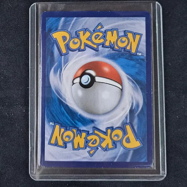 [BUNJANG] Tyranitar V &amp; Galarian Kingler V Special Illustration Full Set Bundle / 마기라스V,가라르 나이킹V 특일 일괄 급처합니다