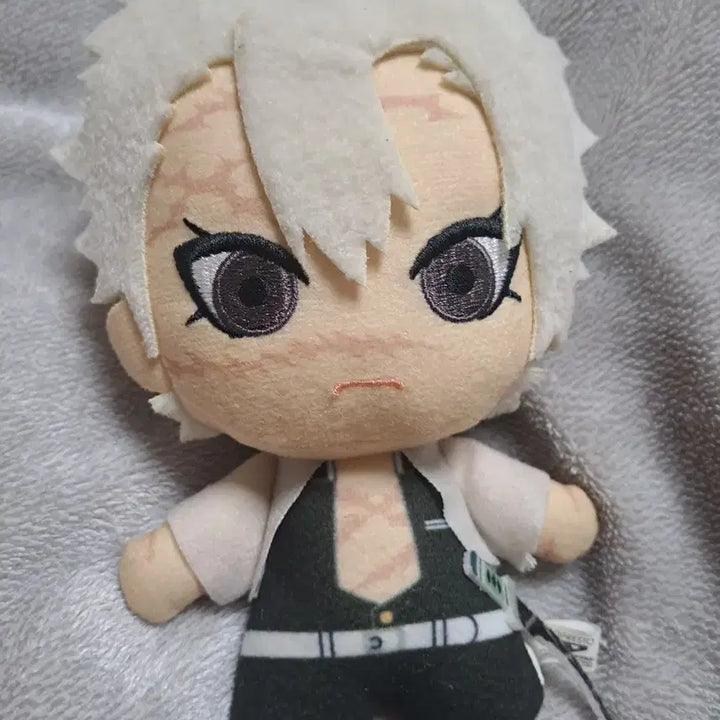 [BUNJANG] Demon Slayer Shinazugawa Sanemi Merchandise Bundle / (오늘만 가격 더 내려요!)귀멸의 칼날 시나즈가와 사네미 굿즈 일괄 판매
