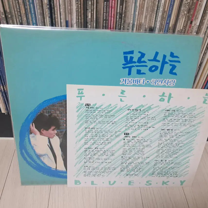 [BUNJANG] Various Artists 1988 Winter Sea LP / LP..푸른하늘1집(1988년)겨울바다