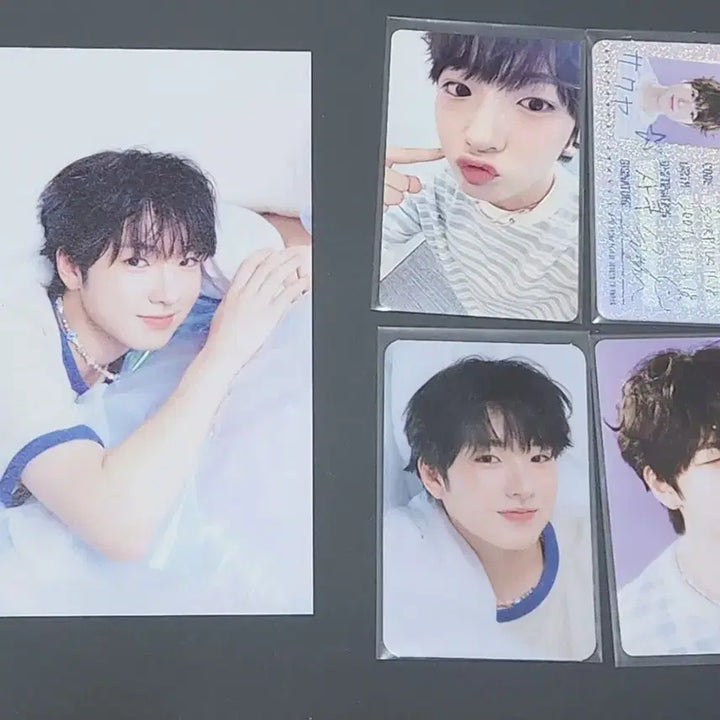 [BUNJANG] NCT WISH Sakuya 2025 Season&