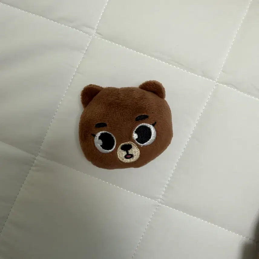 [BUNJANG] DAY6 DANNIMALS Bang Japan Toy Badge Hairpin / 데이식스 데니멀즈 방 일본 토이 뱃지 헤어핀