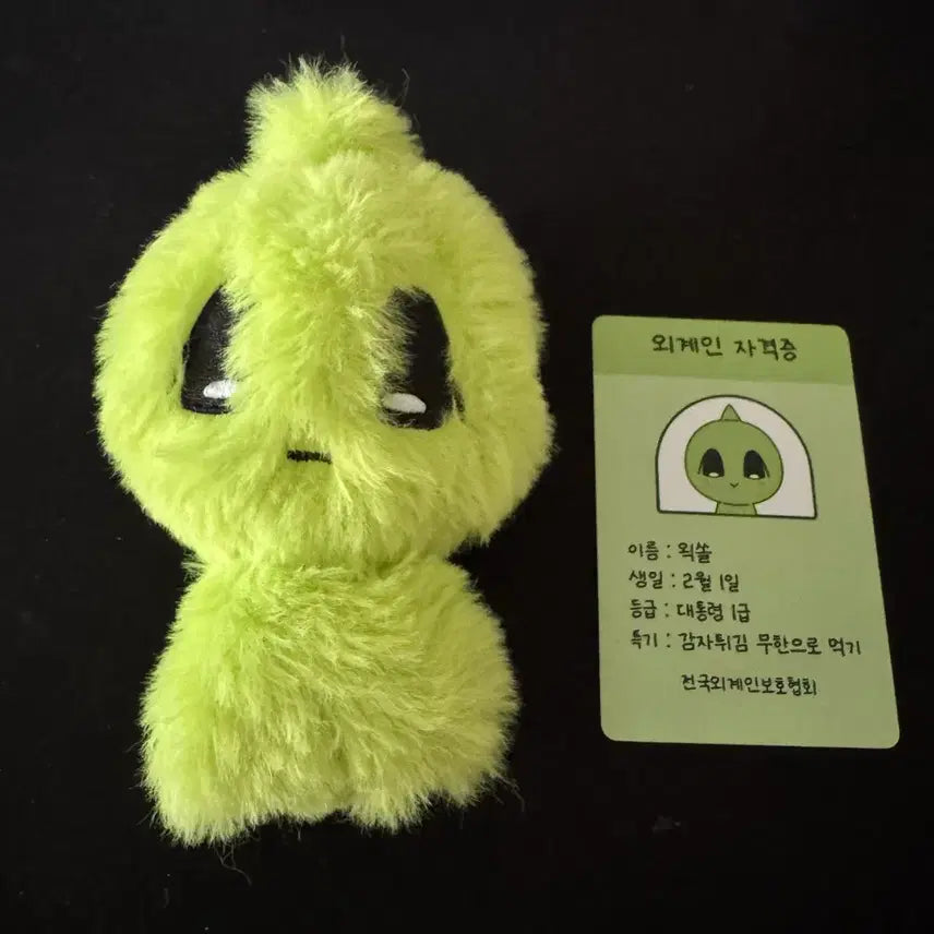 [SOLD OUT] 피원하모니 소울 팬메이드 인형 왹쏠 왹쏠이 p1harmony