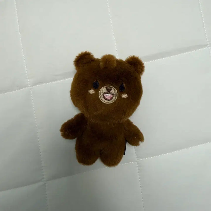 [BUNJANG] Day6 Petit Malzbang Doll / 데이식스 쁘띠멀즈방 인형 양도