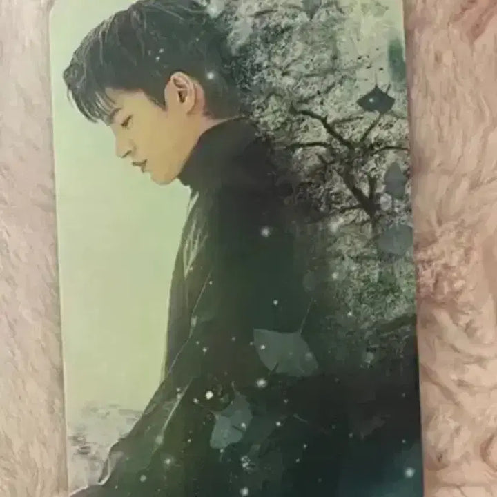 [BUNJANG] Seo In Guk Park Bo Young Bundle Set Photocard / 서인국 박보영 포토카드 일괄