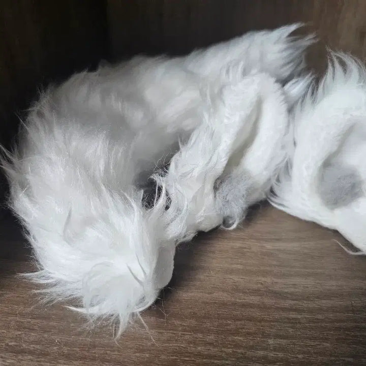 [BUNJANG] 20cm Mohair Cotton Doll / 20cm 솜깅 판매합니다