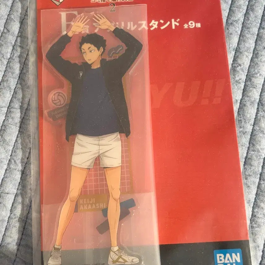 [BUNJANG] Haikyu!! Ichiban Kuji Prize E Acrylic Stand Akashi / 하이큐 이치방쿠지 제일복권 E상 아크릴스탠드 아카아시