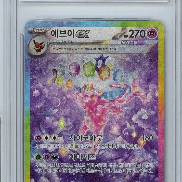 [BUNJANG] Eevee EX Special Art 