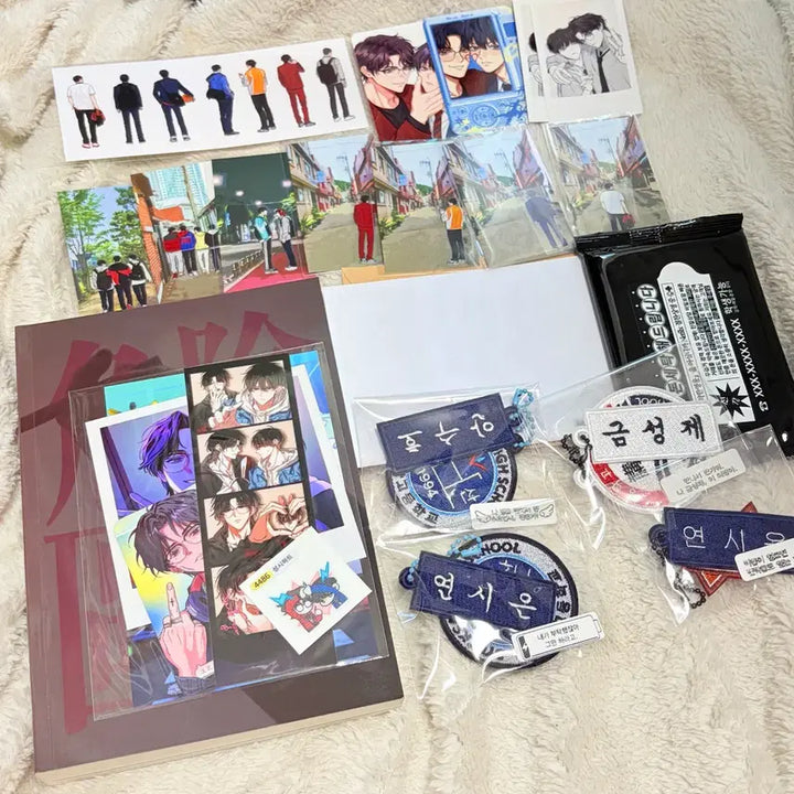 [BUNJANG] Sung Si-kyung Sung Si-eun Weak Hero Anthology Photocard, Electropick Name Tag Keyring Bundle Set / 성시 성제시은 약한영웅 앤솔로지 앤솔 포카, 전차스 명찰 키링 일괄
