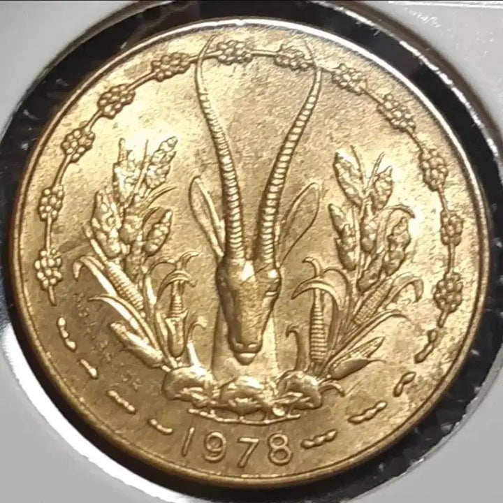 [BUNJANG] West African States 1978 10 Francs Uncirculated Coin / 극희귀 서아프리카연합 미사용 1978년 10프랑.외국주화 주화 화폐 동전