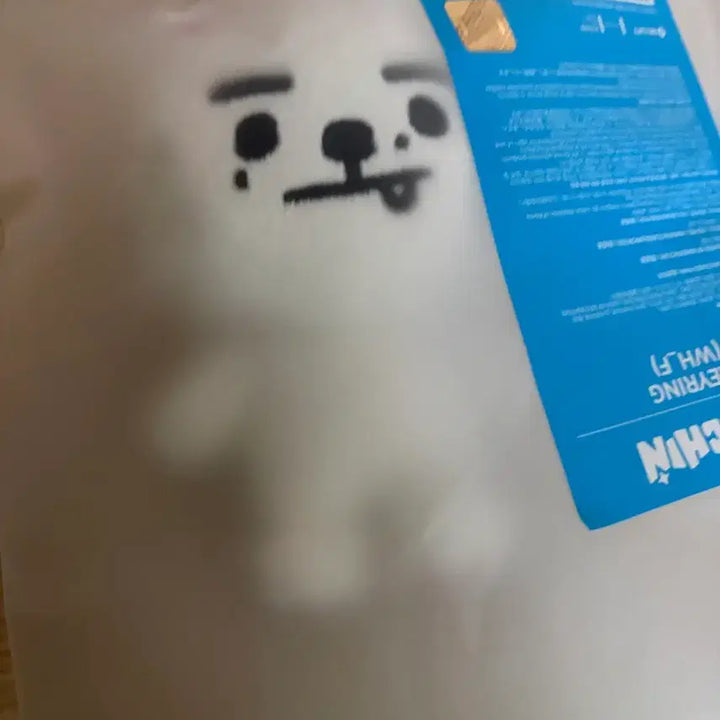 [BUNJANG] ENCHYTHM Snowy Photocard / 엔친 스노위 원가양도(급전풀리면 내림)