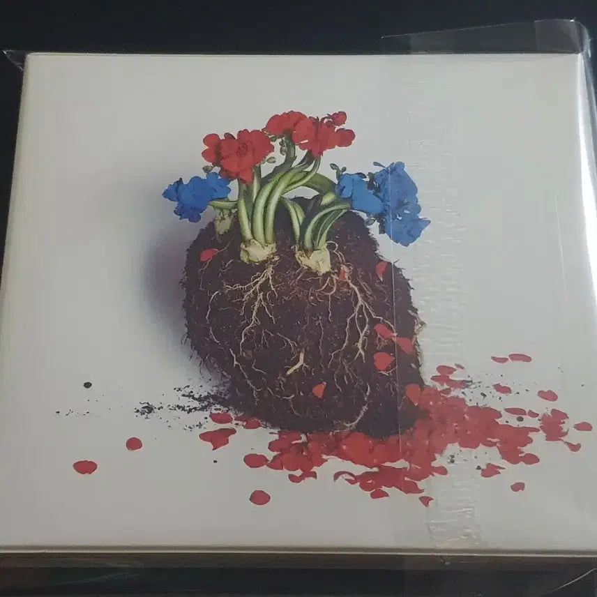 [BUNJANG] Hoshino Gen POP VIRUS Limited Edition CD+DVD / 호시노겐 5집 앨범 POP VIRUS (CD+DVD) 한정반