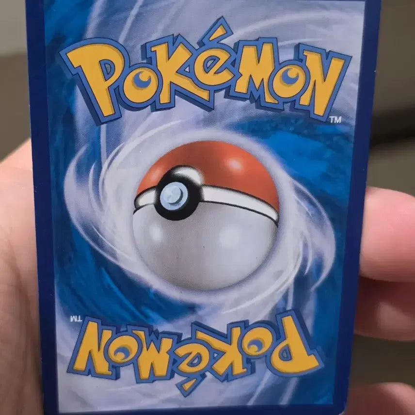 [BUNJANG] Pokemon Card Rockruff CHR / 포켓몬카드 암멍이 CHR