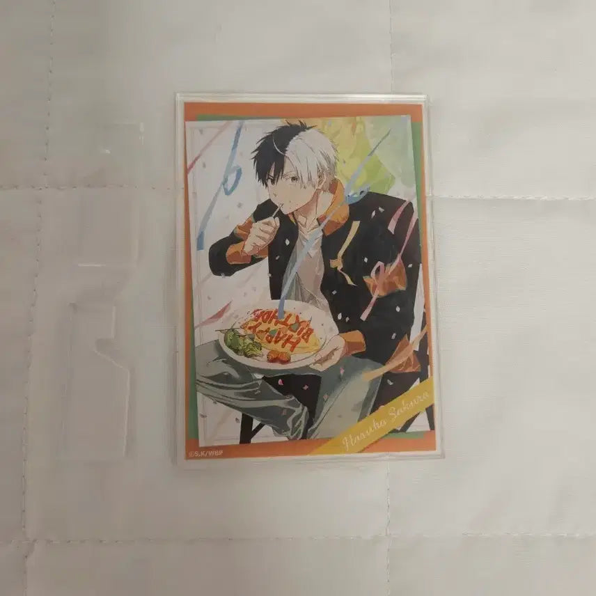 [BUNJANG] WinBre Sakura Birthday Illustration Acrylic Stand / 윈브레 사쿠라 생일 일러스트 아크릴