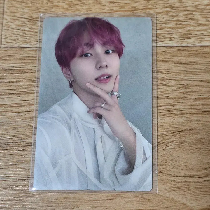 [BUNJANG] ENHYPEN Jungwon Sadame Photocard / 엔하이픈 ENHYPEN 정원 Sadame 포카 포토카드 양도