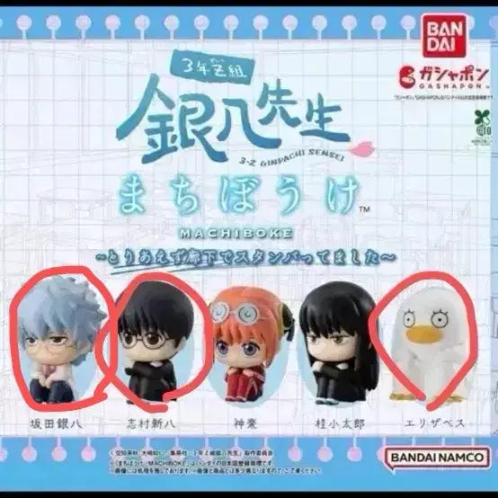 [BUNJANG] Gintama 3rd Year Z Class Machiboke Gacha Elizabeth / 은혼 마치보케 3학년z반 가챠 엘리자베스 언제오려나