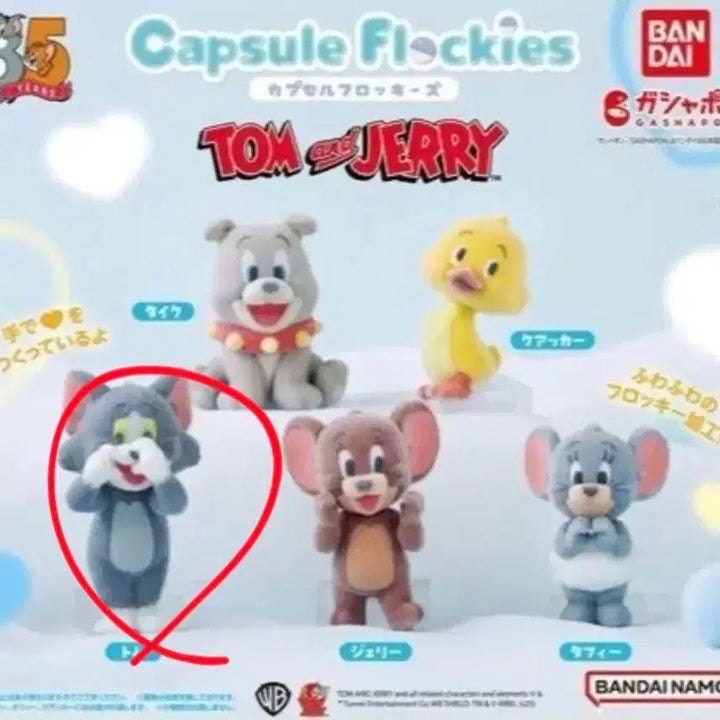 [BUNJANG] Tom and Jerry 85th Anniversary Floxy Gacha Tom New Unsealed / 톰과제리 85주년 플로키 가챠 톰 새상품 미개봉