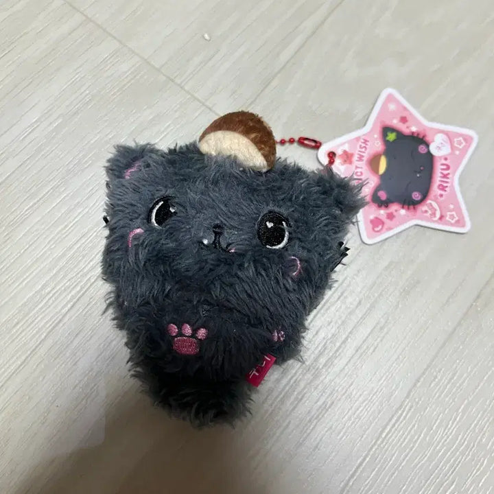 [BUNJANG] WISHDOLL Kuri Kuri Open Box / 포켓 위시돌 쿠리 판매