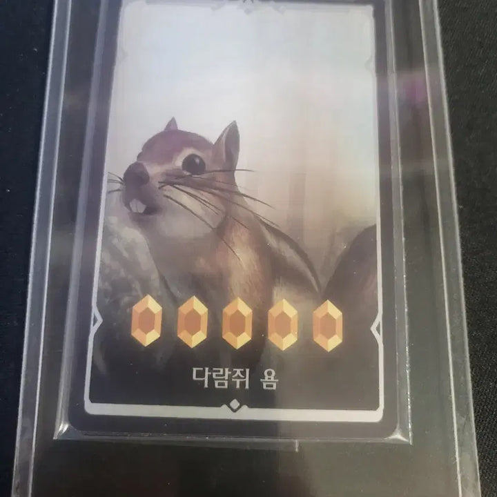 [BUNJANG] Lost Ark Collection Card Set / 로스트아크 컬렉션 카드