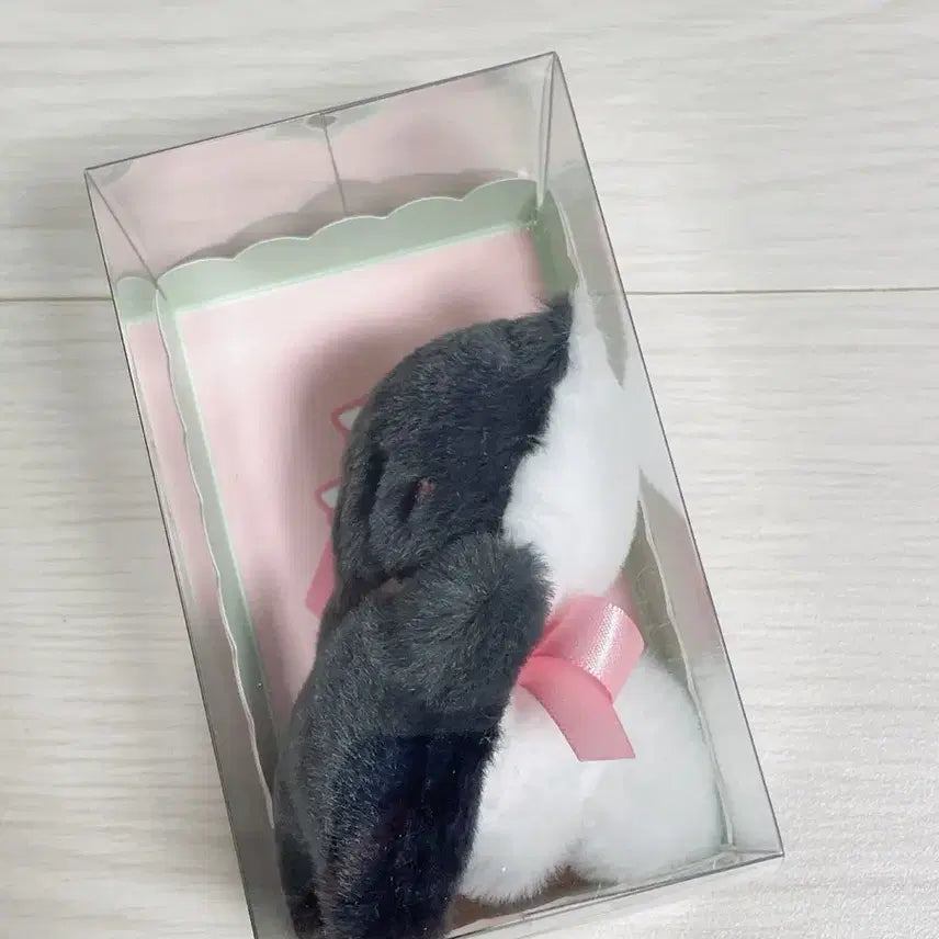 [BUNJANG] Melting Mimore Chunky Dewey / 멜팅미모어 청키듀이