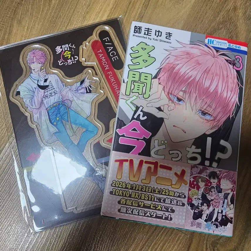 [BUNJANG] Fukuhara Tamon Tamon-kun Is Now Which Side? Manga Vol. 3 Acrylic Stand / 타몬군 지금 어느쪽 후쿠하라 타몬 멜론북스 3권 만화책 아크릴 판매