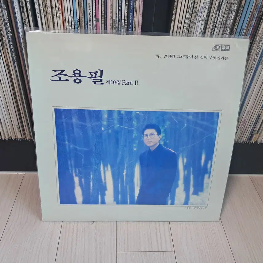 [BUNJANG] Cho Yong-pil 10th Album Part 2 1989 LP / LP..조용필10집 파트2(1989년)큐
