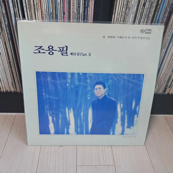 [BUNJANG] Cho Yong-pil 10th Album Part 2 1989 LP / LP..조용필10집 파트2(1989년)큐