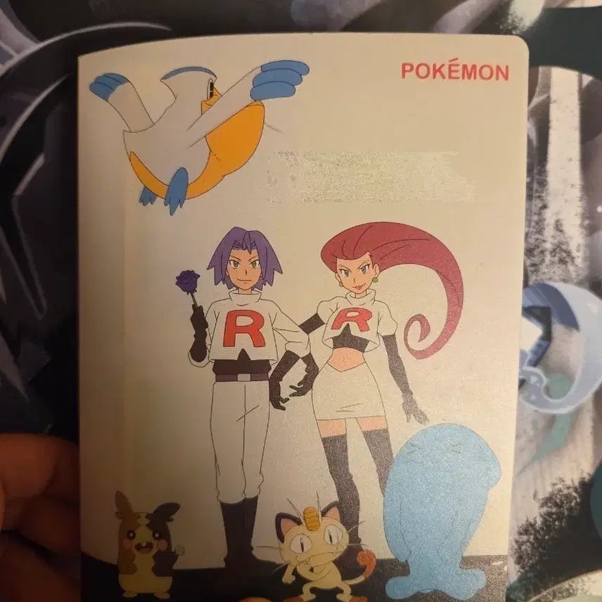 [BUNJANG] Pokemon Card File with Pokemon GO Cards / 포켓몬카드 포켓몬고/파일 팔아요