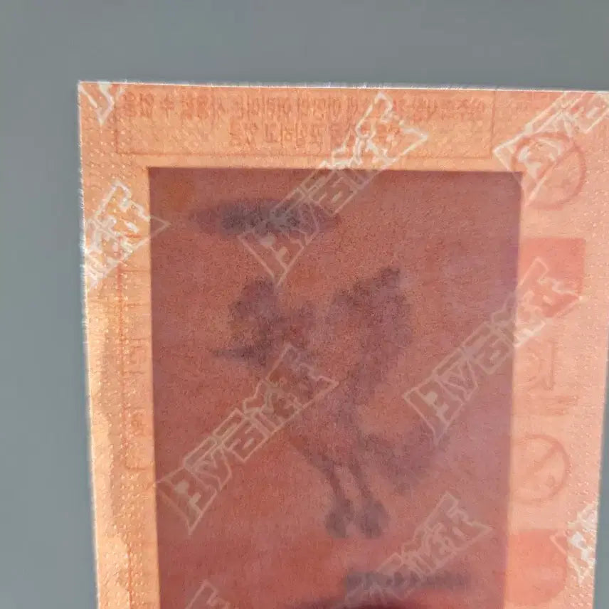 [BUNJANG] Pokemon 30th Anniversary Sticker - Moltres (Sealed) / 포켓몬 30주년 띠부씰 파이어 미개봉