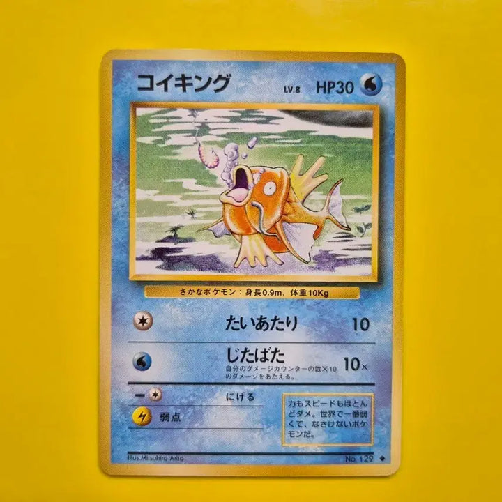 [BUNJANG] Pokemon Card 1996 Magikarp 1st Edition Ultra Rare / 포켓몬카드 1996 잉어킹 s급 팜 초판 1st 1ed 1