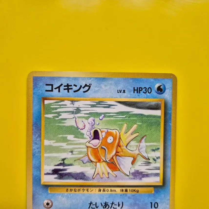 [BUNJANG] Pokemon Card 1996 Magikarp 1st Edition Ultra Rare / 포켓몬카드 1996 잉어킹 s급 팜 초판 1st 1ed 1