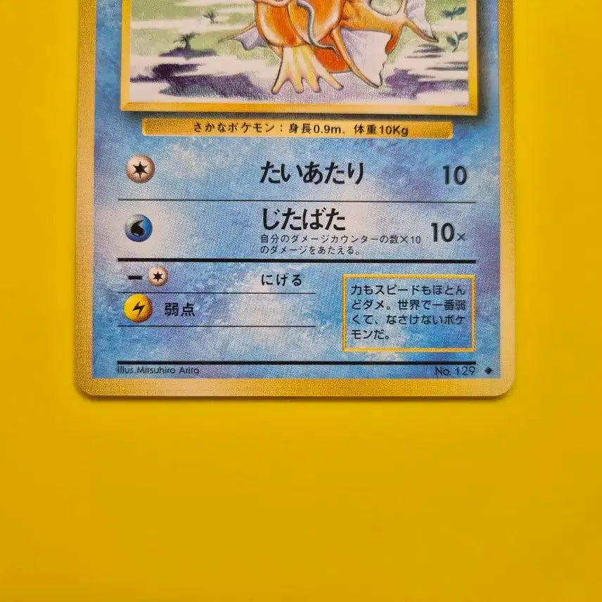 [BUNJANG] Pokemon Card 1996 Magikarp 1st Edition Ultra Rare / 포켓몬카드 1996 잉어킹 s급 팜 초판 1st 1ed 1