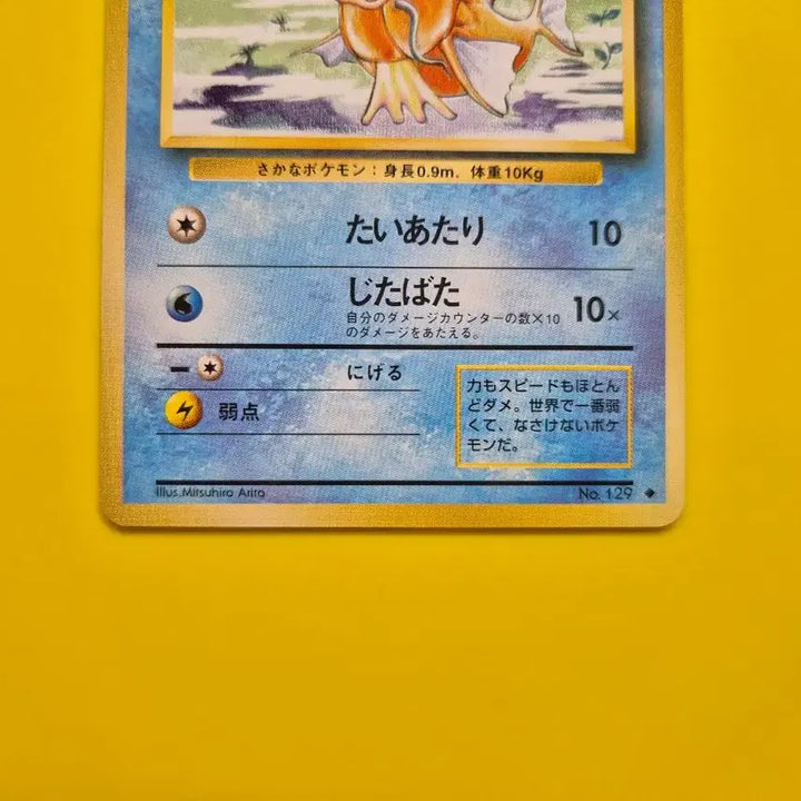 [BUNJANG] Pokemon Card 1996 Magikarp 1st Edition Ultra Rare / 포켓몬카드 1996 잉어킹 s급 팜 초판 1st 1ed 1