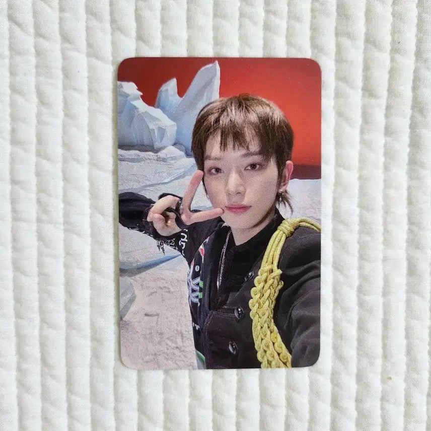 [BUNJANG] &amp;TEAM Harua Work; Lorca Official Photocard / 앤팀 &amp;TEAM 하루아 워크라이 공방 공방포카 포토카드
