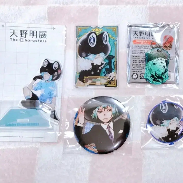 [BUNJANG] Katekyo Hitman Reborn! Fran Goods Bundle Set / 가히리 프랑 굿즈 일괄