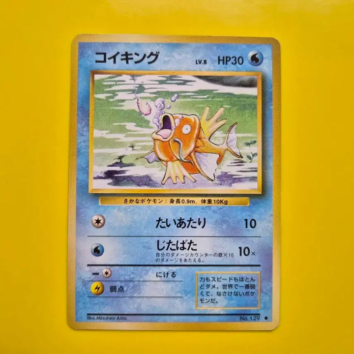 [BUNJANG] Pokemon Card 1996 Magikarp Base Set 1st Edition S-Class / 포켓몬카드 1996 잉어킹 s급 팜 초판 1st 1ed 2