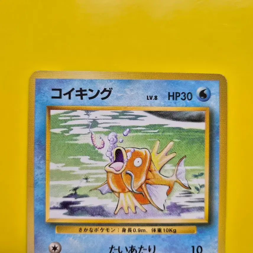 [BUNJANG] Pokemon Card 1996 Magikarp Base Set 1st Edition S-Class / 포켓몬카드 1996 잉어킹 s급 팜 초판 1st 1ed 2