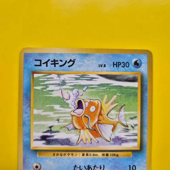 [BUNJANG] Pokemon Card 1996 Magikarp Base Set 1st Edition S-Class / 포켓몬카드 1996 잉어킹 s급 팜 초판 1st 1ed 2