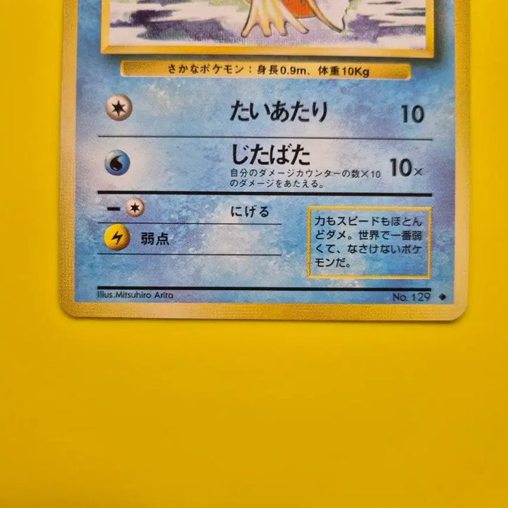 [BUNJANG] Pokemon Card 1996 Magikarp Base Set 1st Edition S-Class / 포켓몬카드 1996 잉어킹 s급 팜 초판 1st 1ed 2