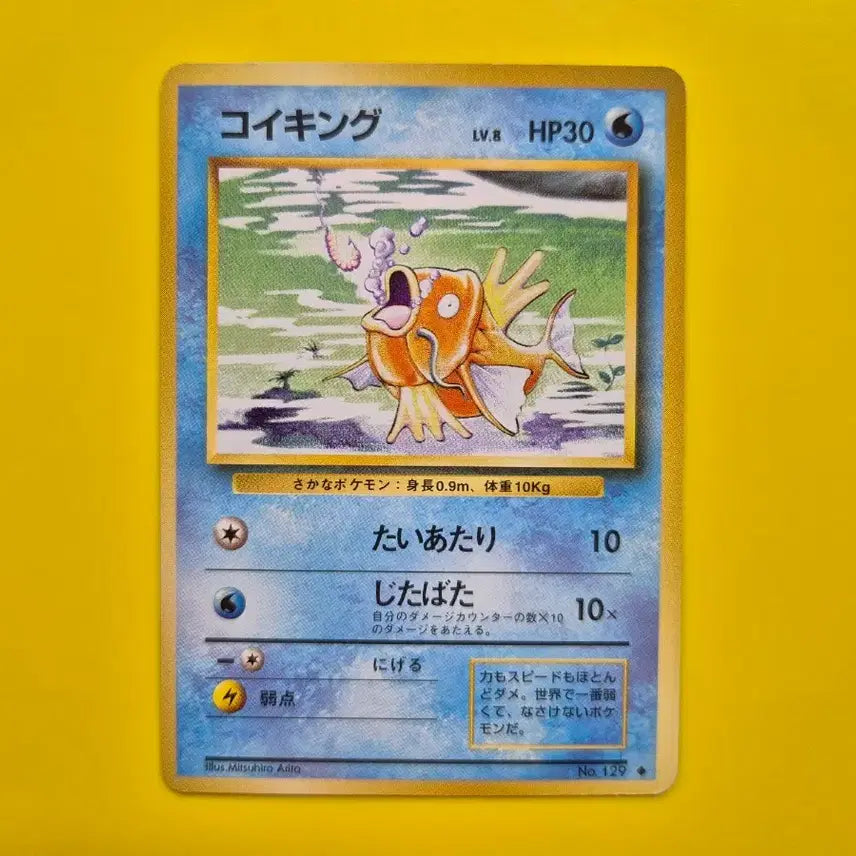 [BUNJANG] Pokemon Card 1996 Magikarp 1st Edition Graded S-Class / 포켓몬카드 1996 잉어킹 s급 팜 초판 1st 1ed 3