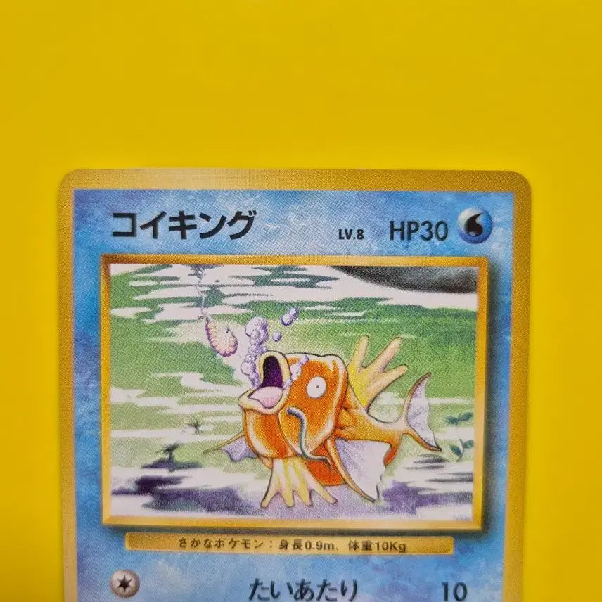 [BUNJANG] Pokemon Card 1996 Magikarp 1st Edition Graded S-Class / 포켓몬카드 1996 잉어킹 s급 팜 초판 1st 1ed 3