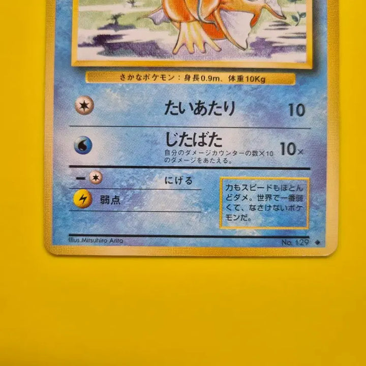 [BUNJANG] Pokemon Card 1996 Magikarp 1st Edition Graded S-Class / 포켓몬카드 1996 잉어킹 s급 팜 초판 1st 1ed 3