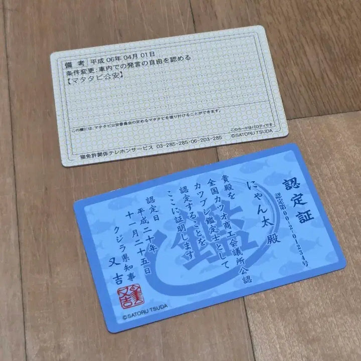 [BUNJANG] Cat Business Cards Set / 고양이 명함 판매