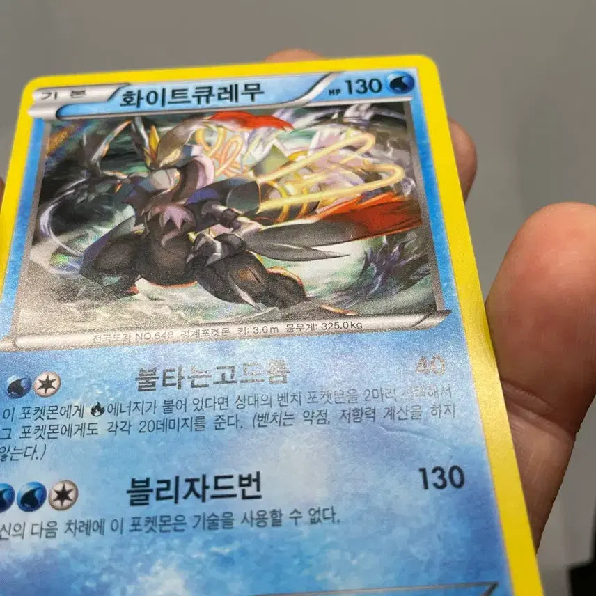 [BUNJANG] 2016 White Kyurem Holo Card Vintage Pokemon Card / 2016년 화이트큐레무 홀로카드 고전카드 포켓몬카드