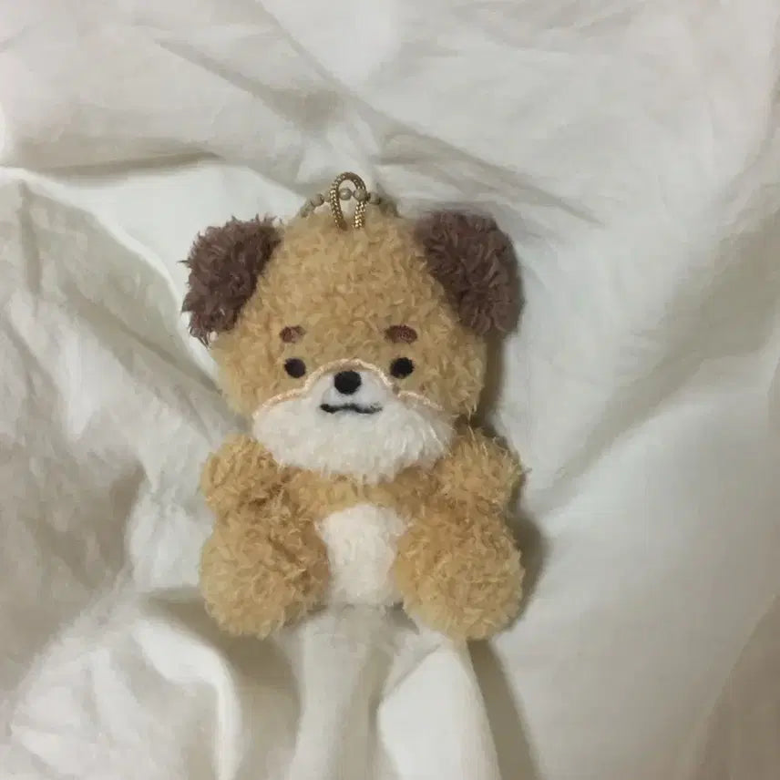 [BUNJANG] DAY6 Dowoon Seated Merch Petit Merch Don / 데이식스 도운 앉은멀즈 쁘띠멀즈 돈