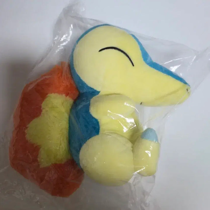 [BUNJANG] Pokemon Cyndaquil Japanese Plush Doll / 포켓몬 브케인 일본 인형