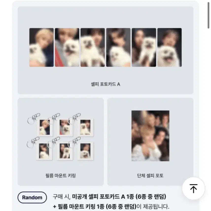 [BUNJANG] BOYNEXTDOOR Official Album Split Set / 보이넥스트도어 정규 위버스 일반반 분철합니다!/성호리우재현태산이한운학