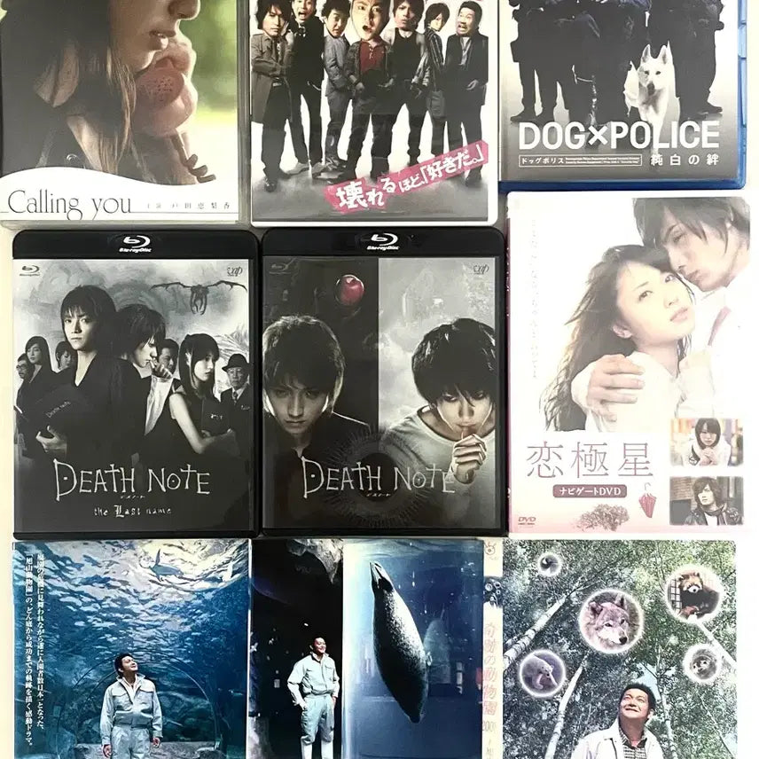 [BUNJANG] Toda Erika Bundle Set DVD Blu-ray / [일괄] 토다에리카 DVD 블루레이
